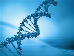 DNA: in fase di studio un nuovo elemento del nostro patrimonio genetico